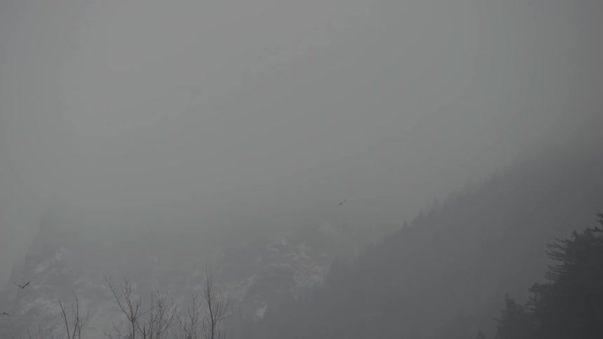 Man Taking Photos In Winter