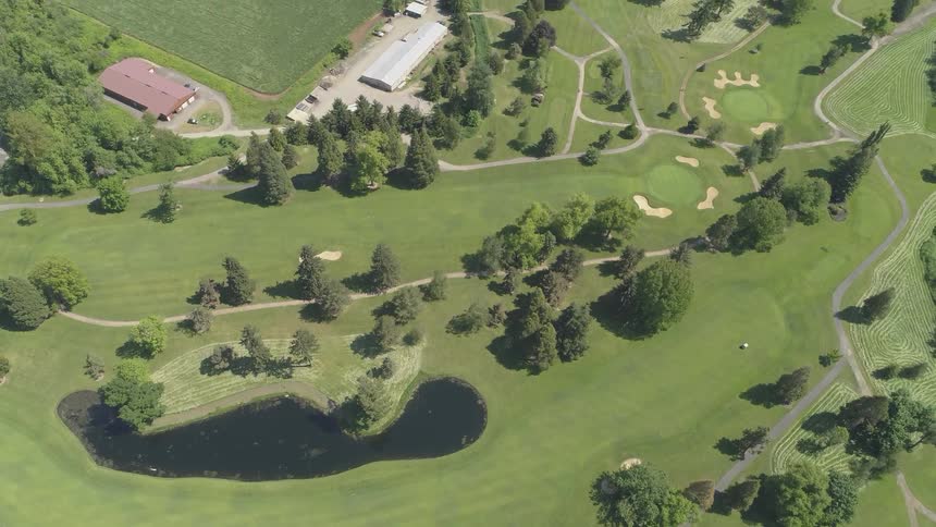 Men Playing Golf