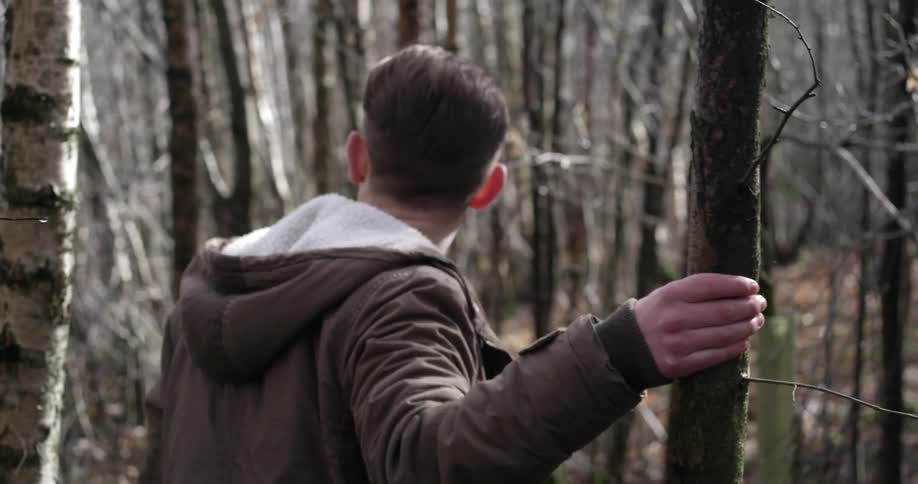 A person walking in the woods