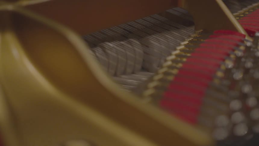 Musicians Playing