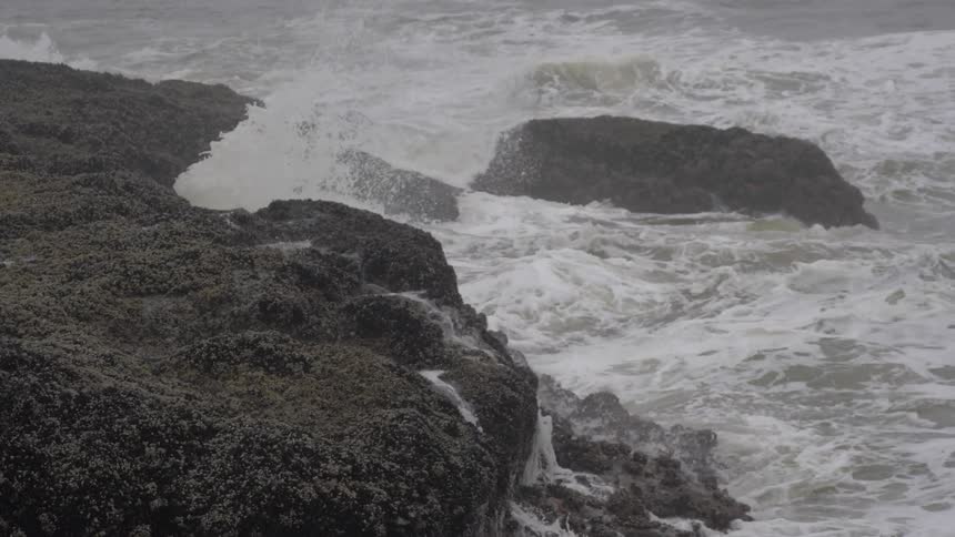 Overcast Coastline Scenics