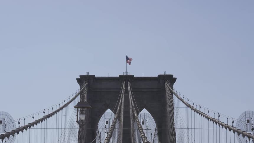 New York City Scenics
