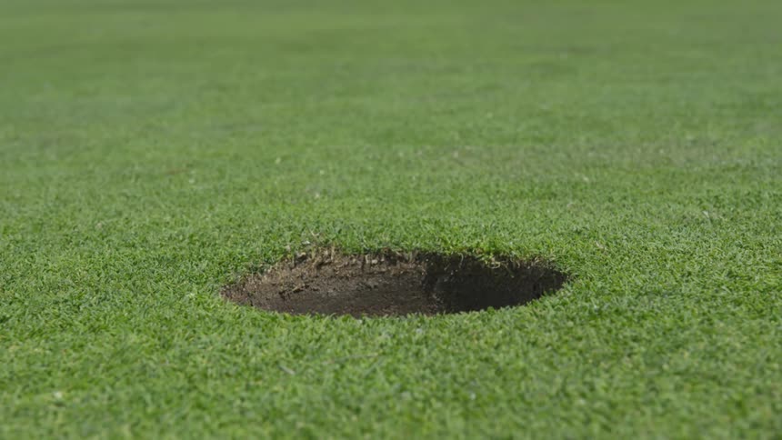 Men Playing Golf