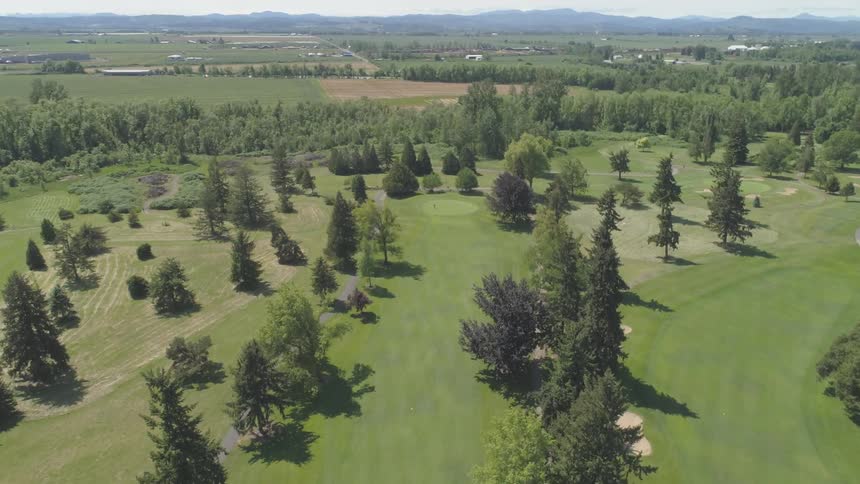 Men Playing Golf