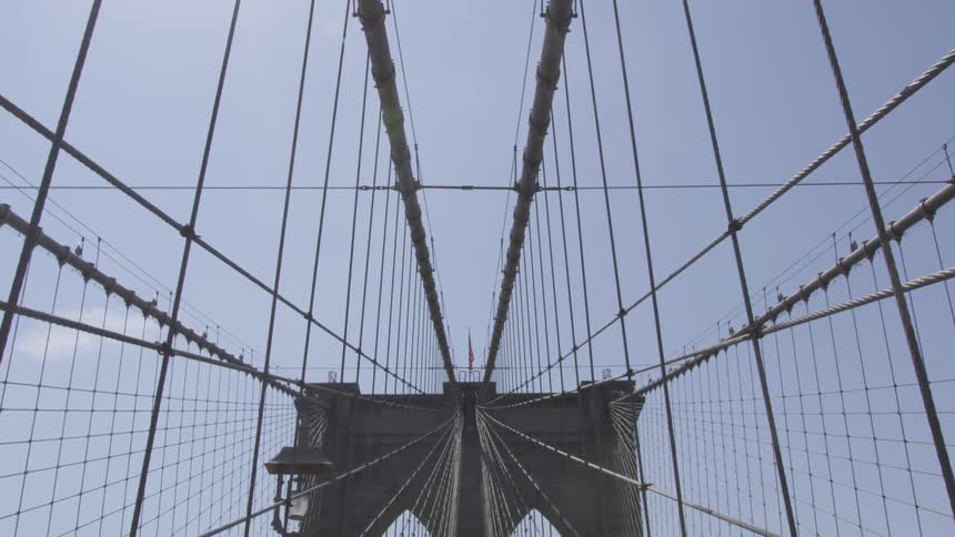 New York City Scenics
