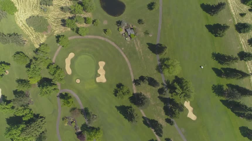 Men Playing Golf