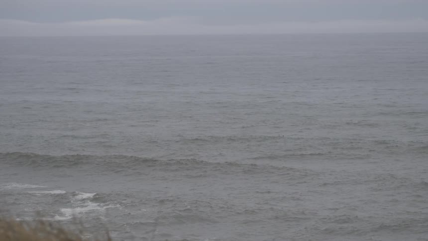 Overcast Coastline Scenics
