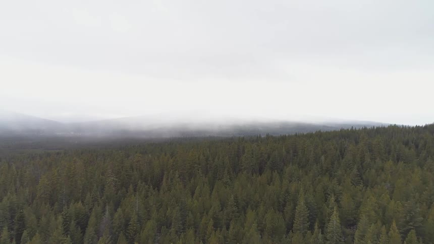 Pacific Northwest Aerials
