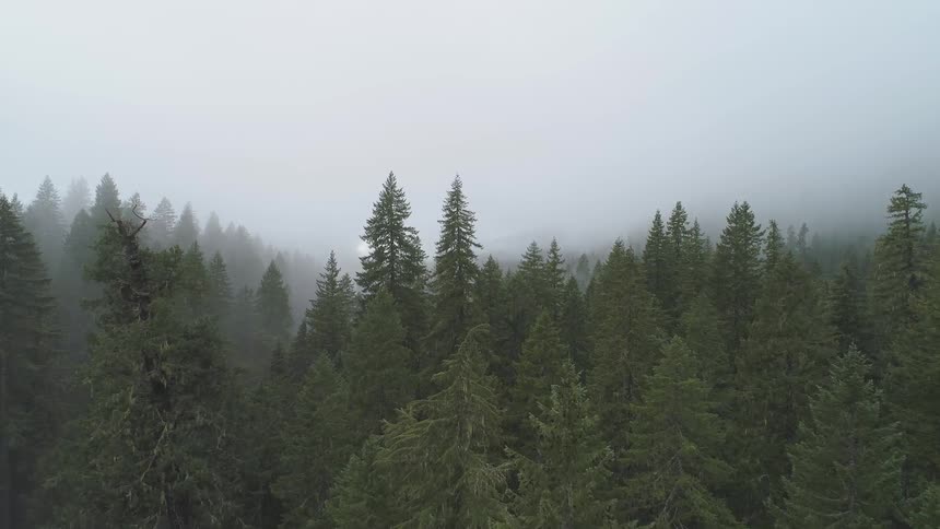 Pacific Northwest Aerials
