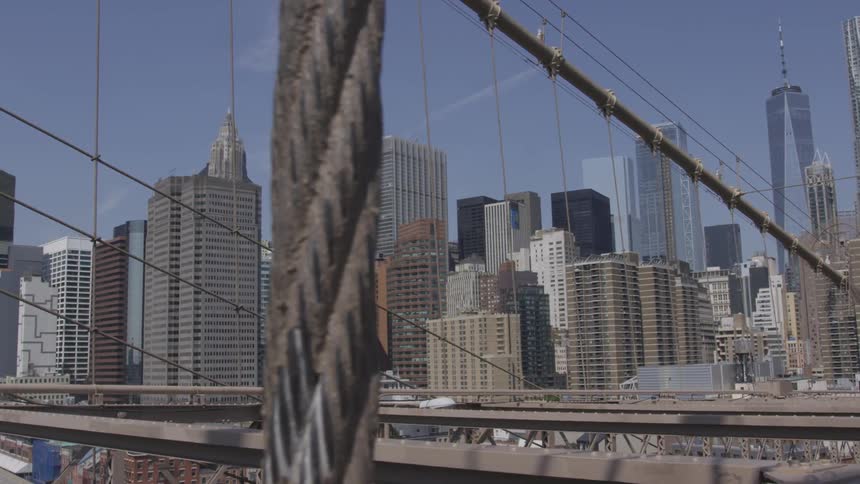 New York City Scenics