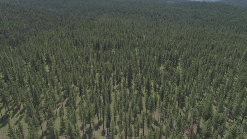 Pacific Northwest Aerials