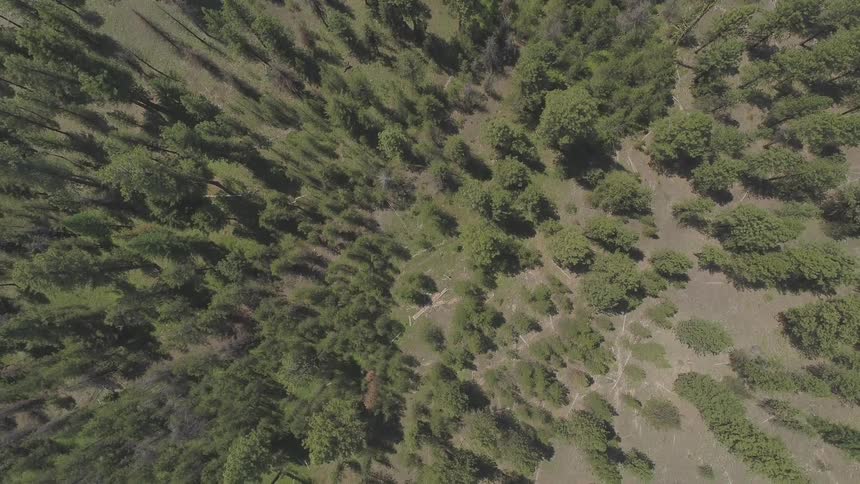 Pacific Northwest Aerials