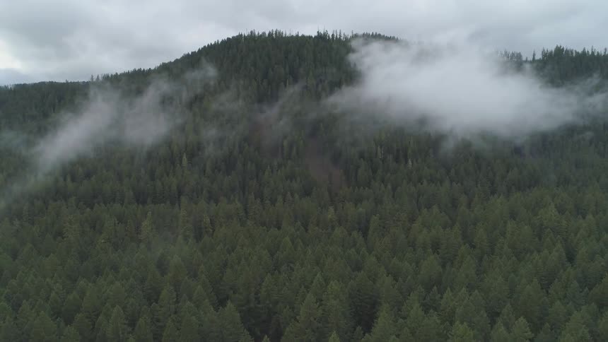 Pacific Northwest Aerials