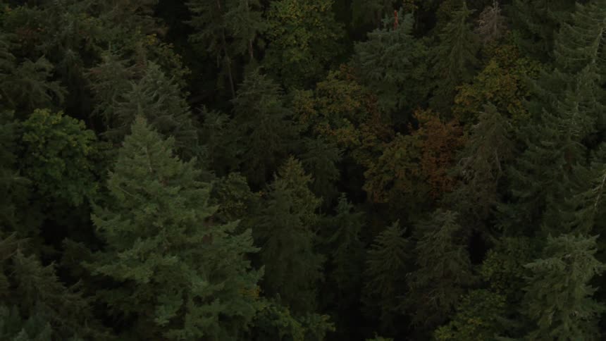 Pacific Northwest Aerials