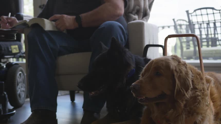 Man With Bible And Dogs