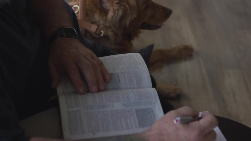 Man With Bible And Dogs