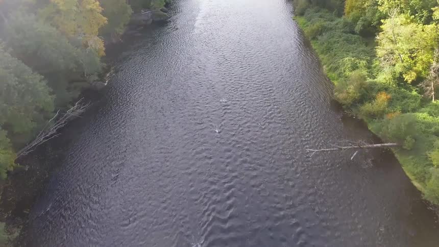 Pacific Northwest Aerials