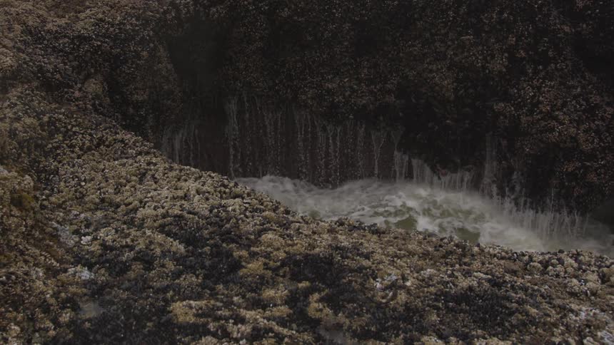 Overcast Coastline Scenics