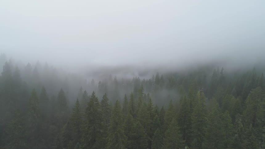 Pacific Northwest Aerials