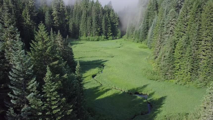 Pacific Northwest Aerials