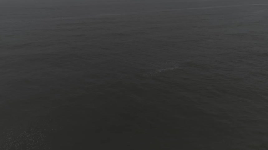 Overcast Coastline Scenics