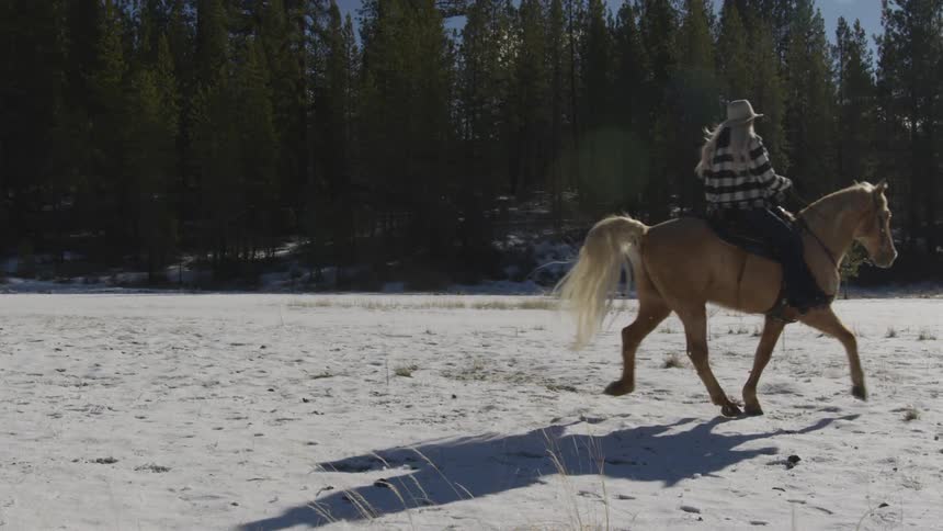 People Riding Horses In Snow