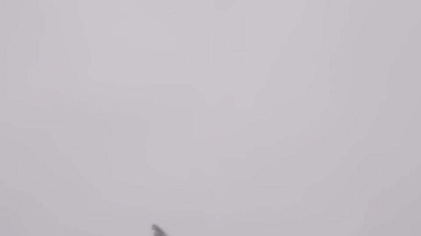 Overcast Coastline Scenics