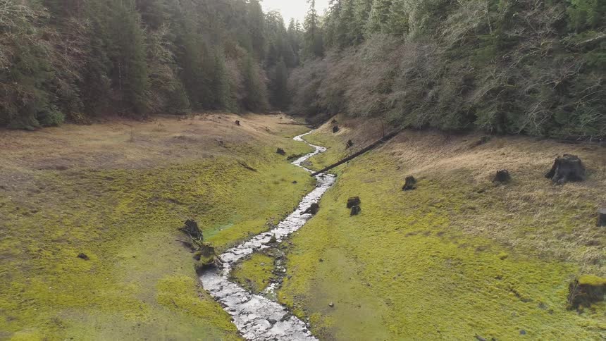 Pacific Northwest Aerials