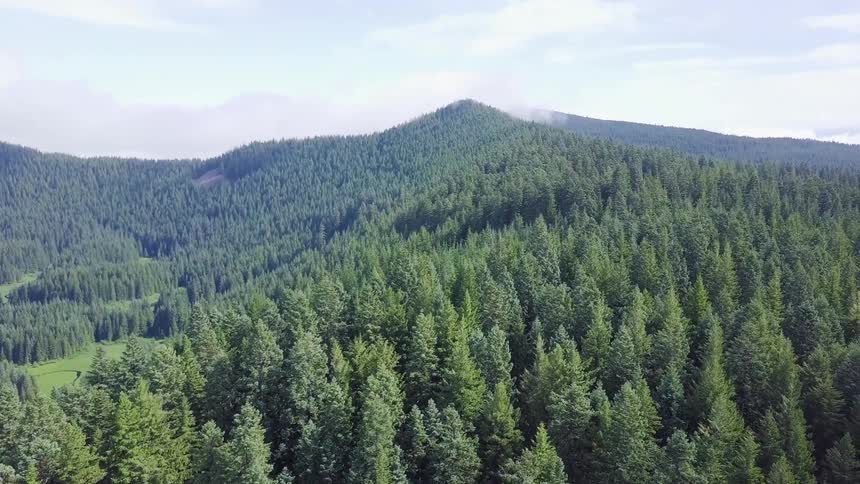 Pacific Northwest Aerials