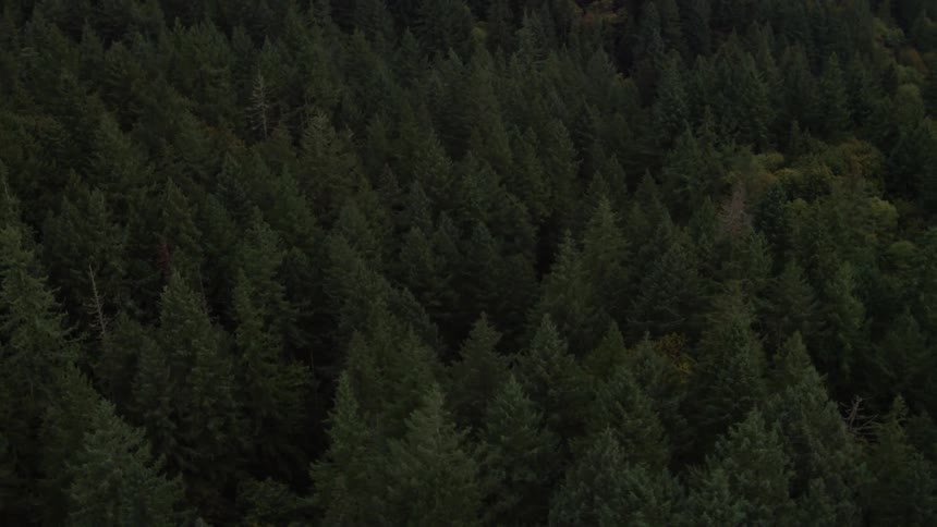 Pacific Northwest Aerials