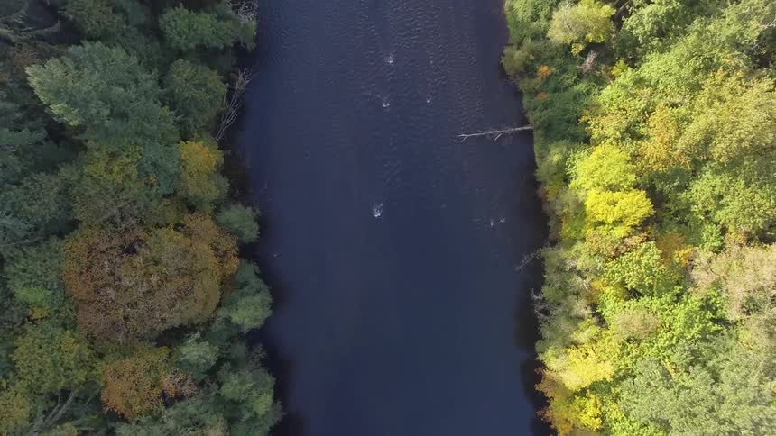 Pacific Northwest Aerials