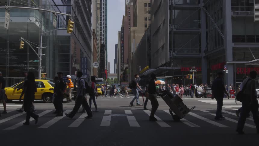 New York City Scenics