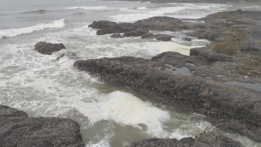 Overcast Coastline Scenics