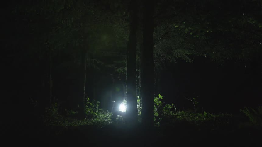 Men In Forest At Night