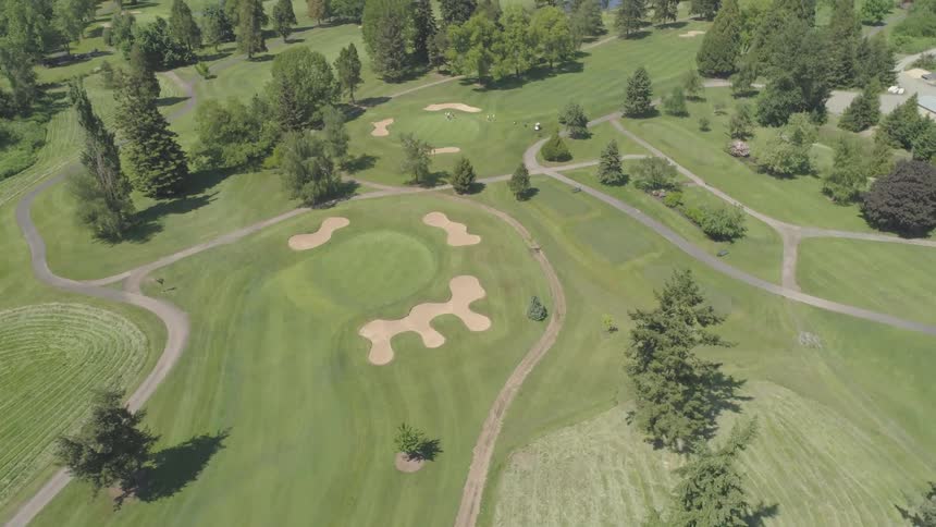 Men Playing Golf