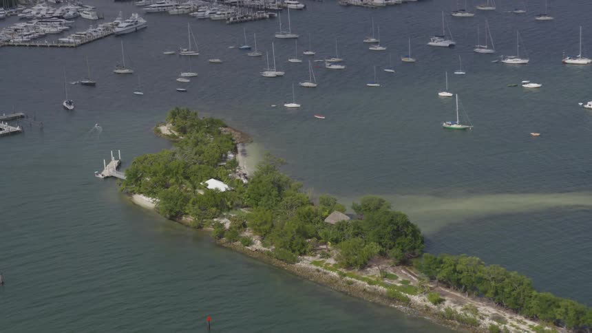 Miami Aerials