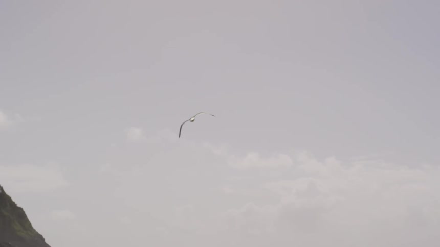 People On The Beach