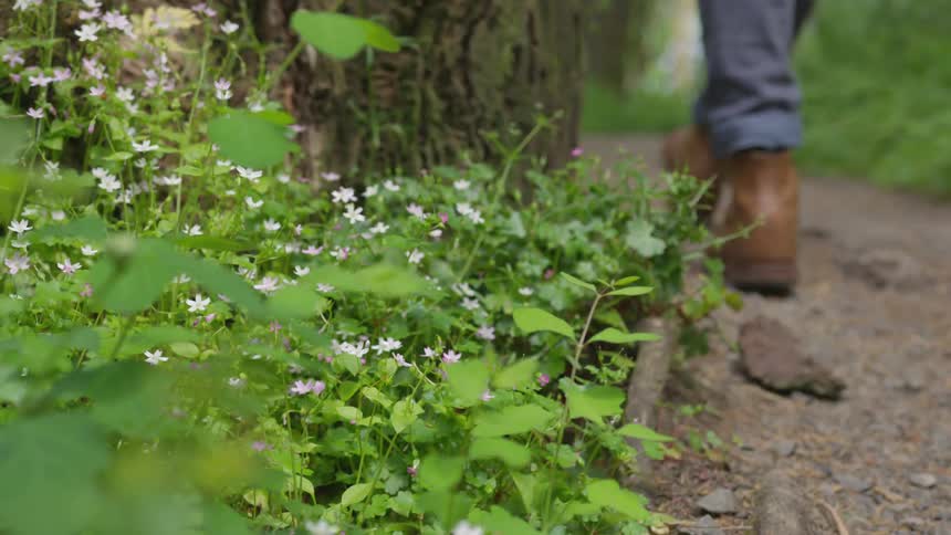 Photographer Hiking In Nature