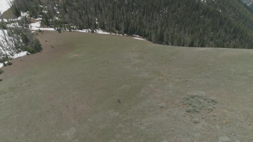 Pacific Northwest Aerials