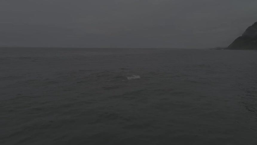 Overcast Coastline Scenics