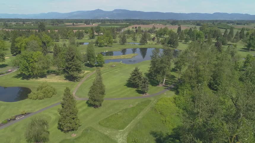 Men Playing Golf