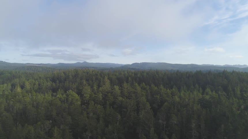 Pacific Northwest Aerials
