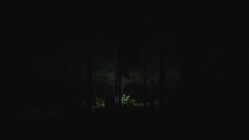 Men In Forest At Night
