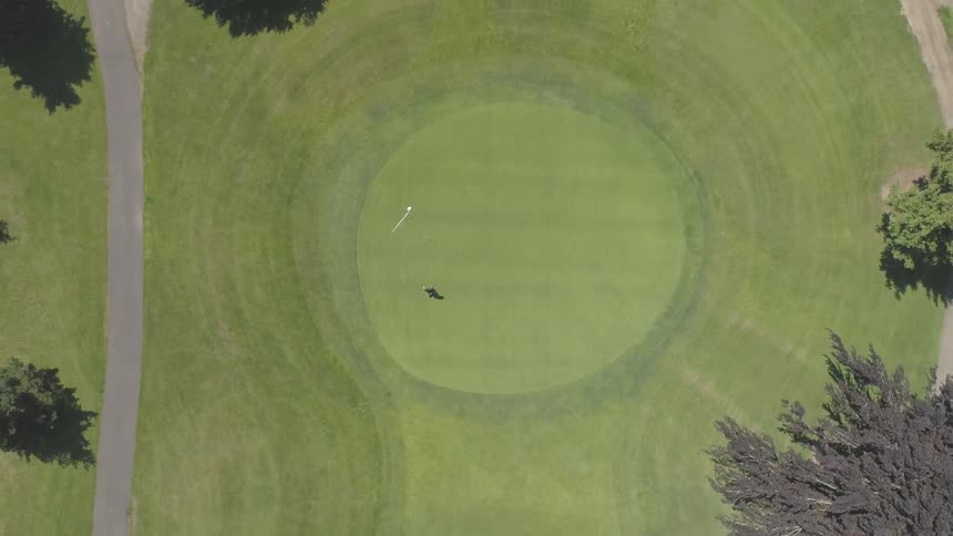 Men Playing Golf