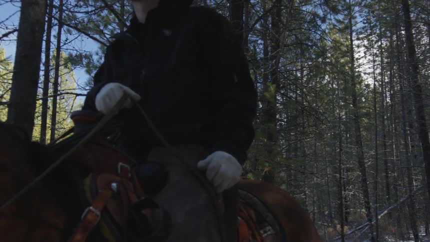 People Riding Horses In Snow