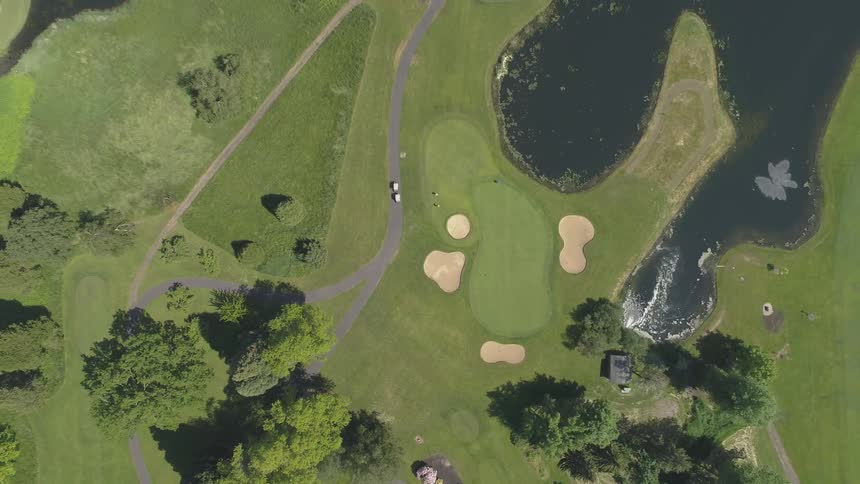 Men Playing Golf