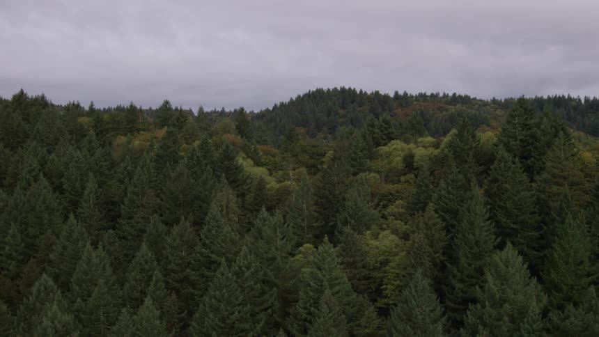 Pacific Northwest Aerials