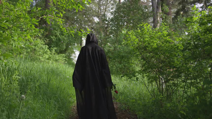 Person In Black Robe Walking Through Forest