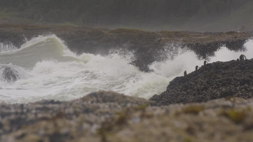 Overcast Coastline Scenics