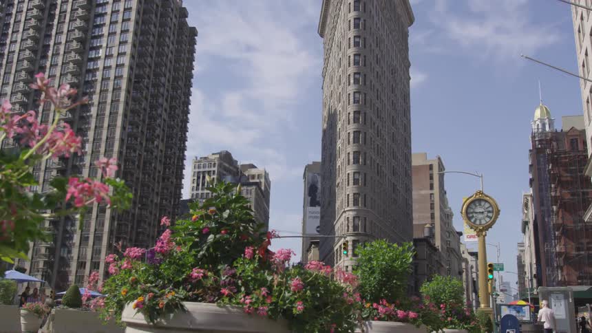 New York City Scenics